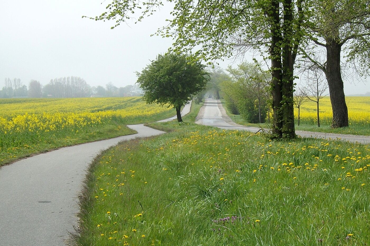 Radtour Ostsee