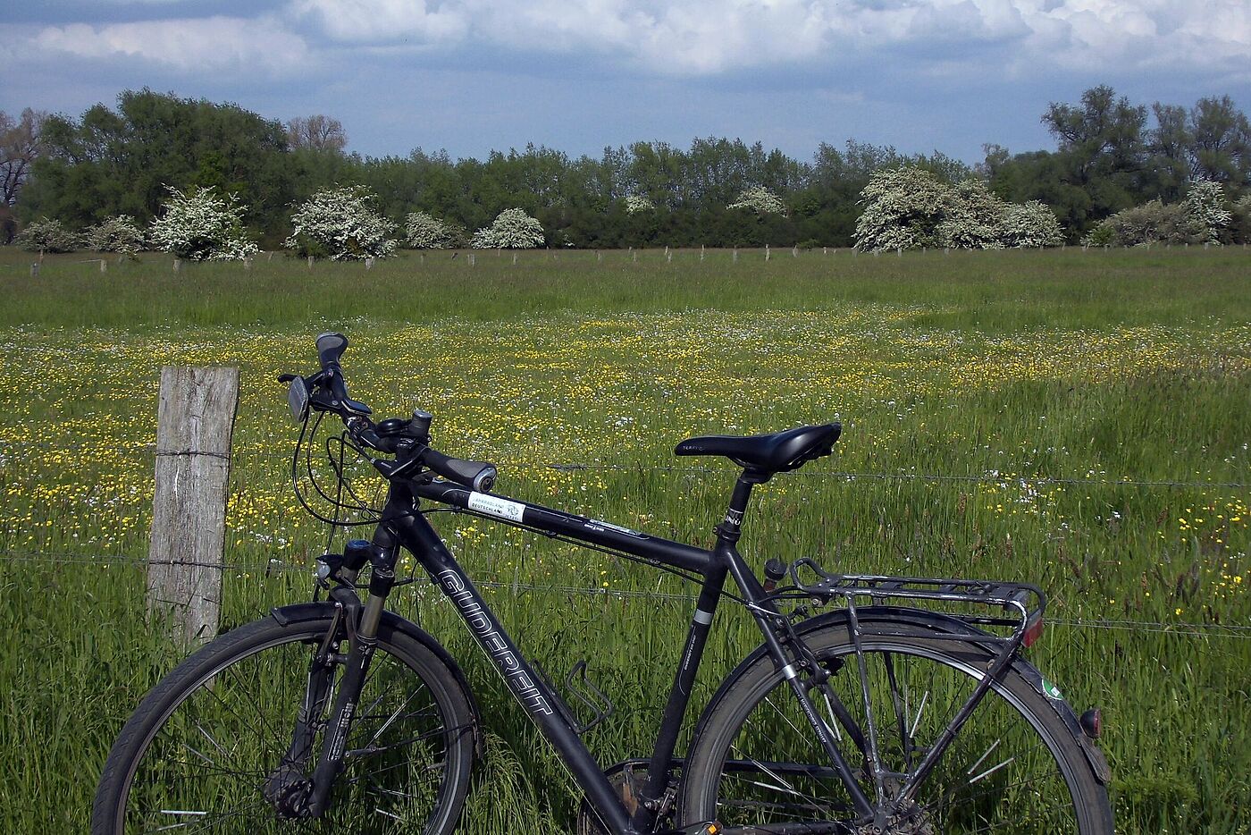 Bückeburger Niederung