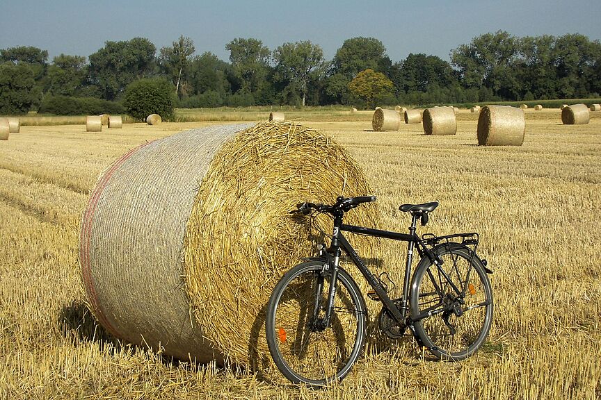 Radfahren im Sommer Radfahren im Sommer