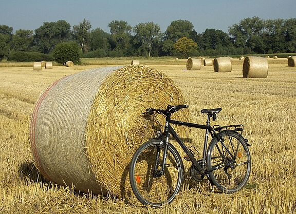 Radfahren im Sommer
