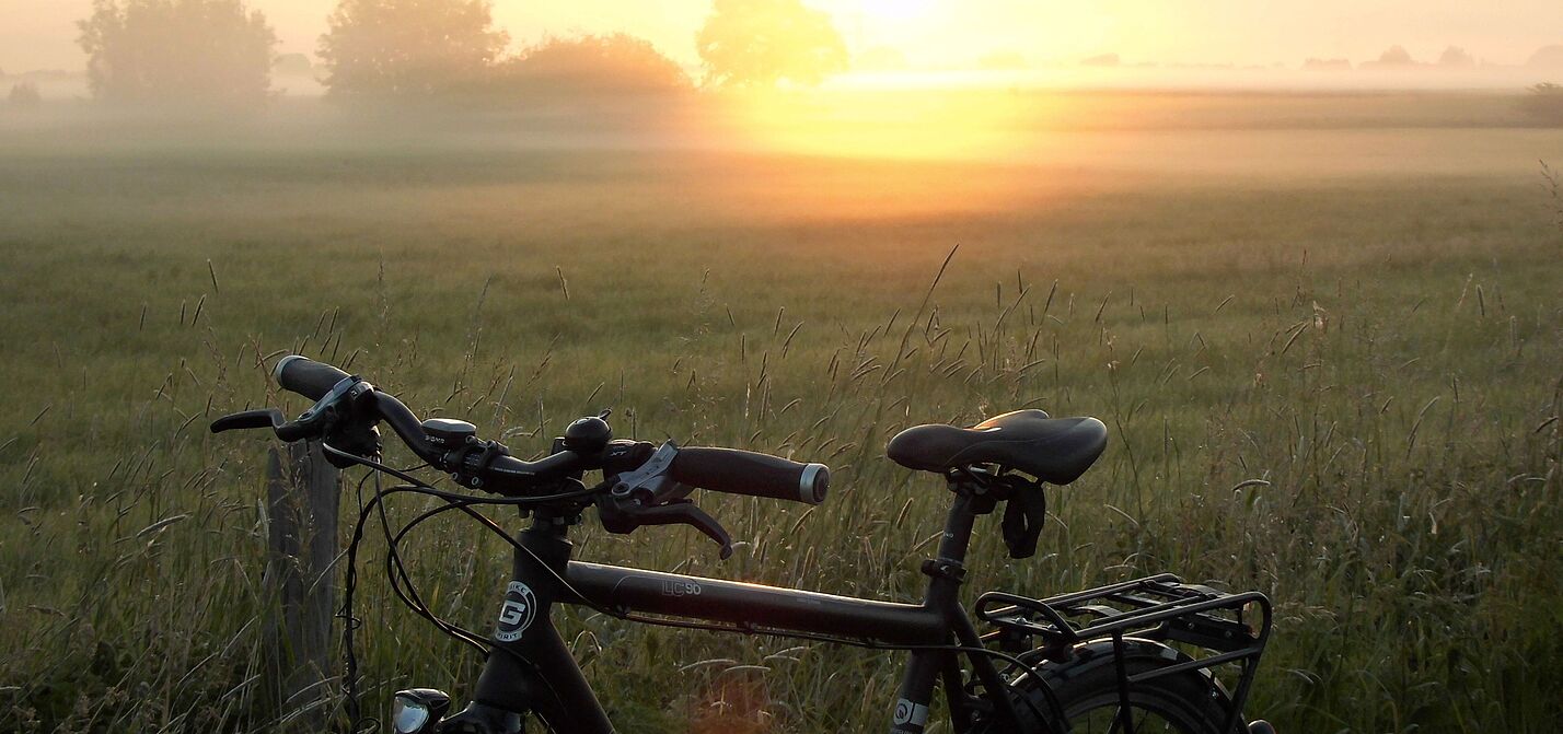 Morgensonne Bückeburger Niederung