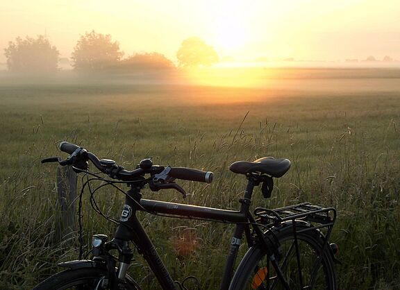 Morgensonne Bückeburger Niederung