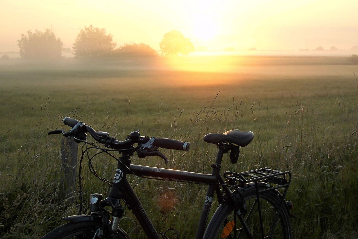Morgensonne Bückeburger Niederung