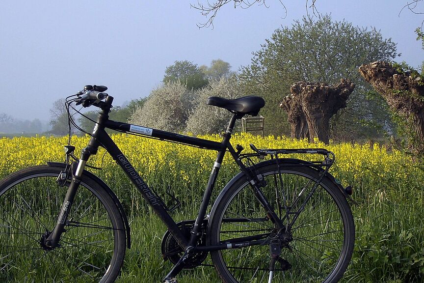Bückeburger Niederung Bückeburger Niederung