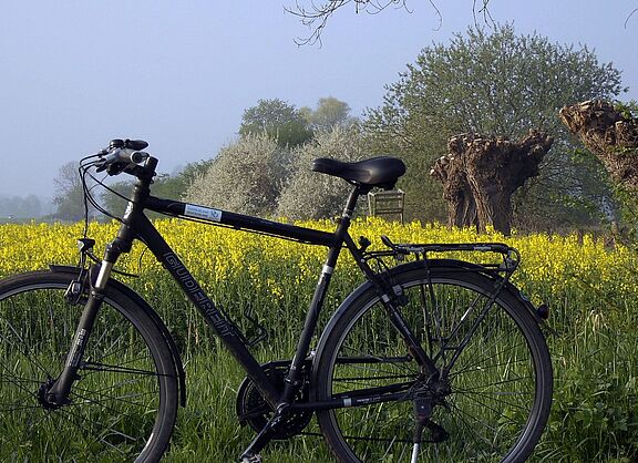Bückeburger Niederung